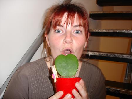 ben alors plus personne ne vient sr ce blog ou quoi